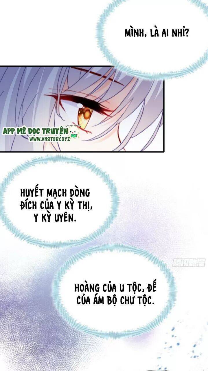 Lại Bị Bệnh Chiều Chuộng Quấn Lấy Chapter 19 - Trang 2