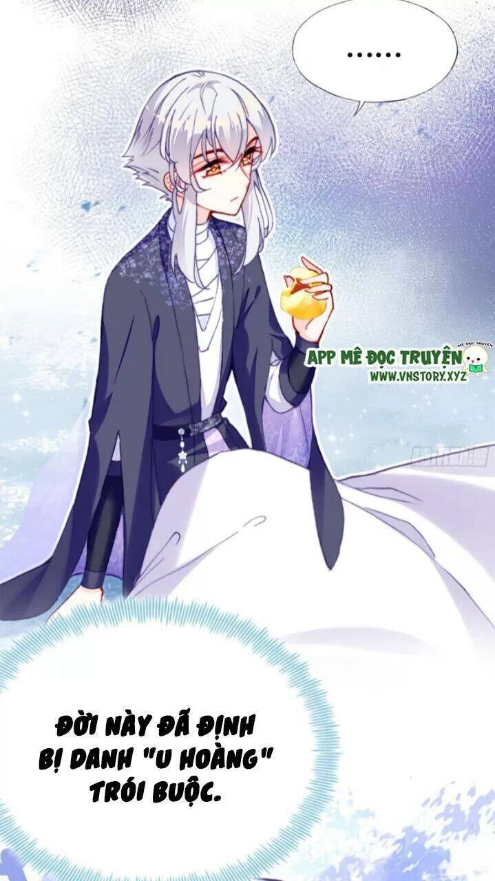 Lại Bị Bệnh Chiều Chuộng Quấn Lấy Chapter 19 - Trang 2