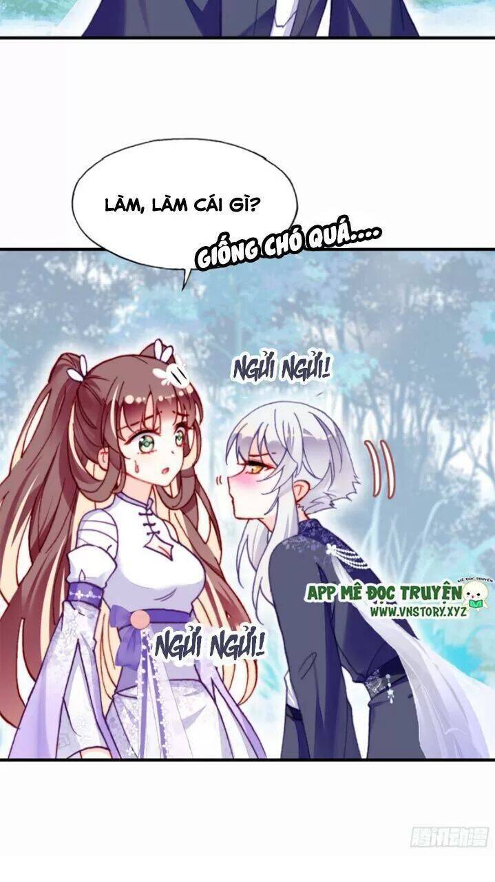 Lại Bị Bệnh Chiều Chuộng Quấn Lấy Chapter 19 - Trang 2