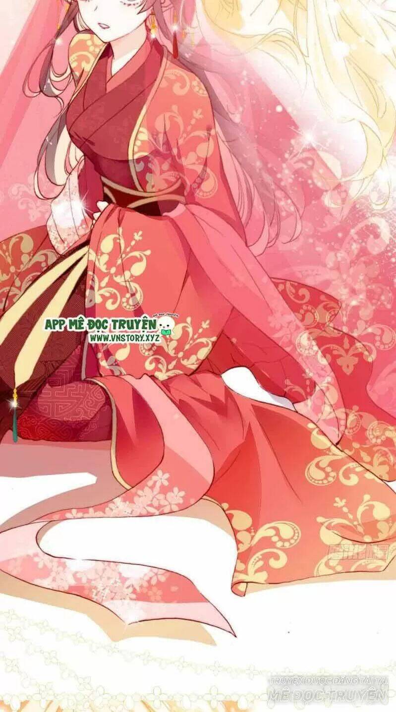 Lại Bị Bệnh Chiều Chuộng Quấn Lấy Chapter 2 - Trang 2