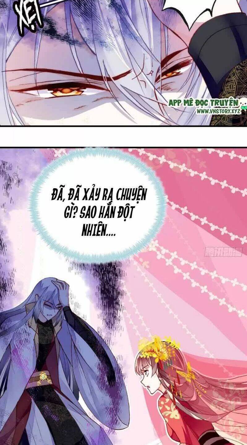 Lại Bị Bệnh Chiều Chuộng Quấn Lấy Chapter 2 - Trang 2