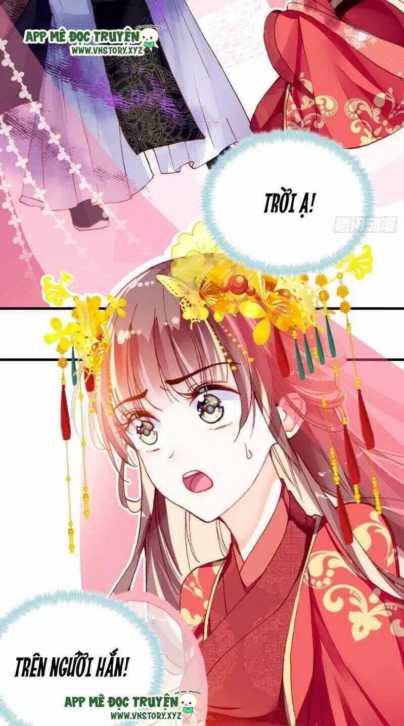 Lại Bị Bệnh Chiều Chuộng Quấn Lấy Chapter 2 - Trang 2