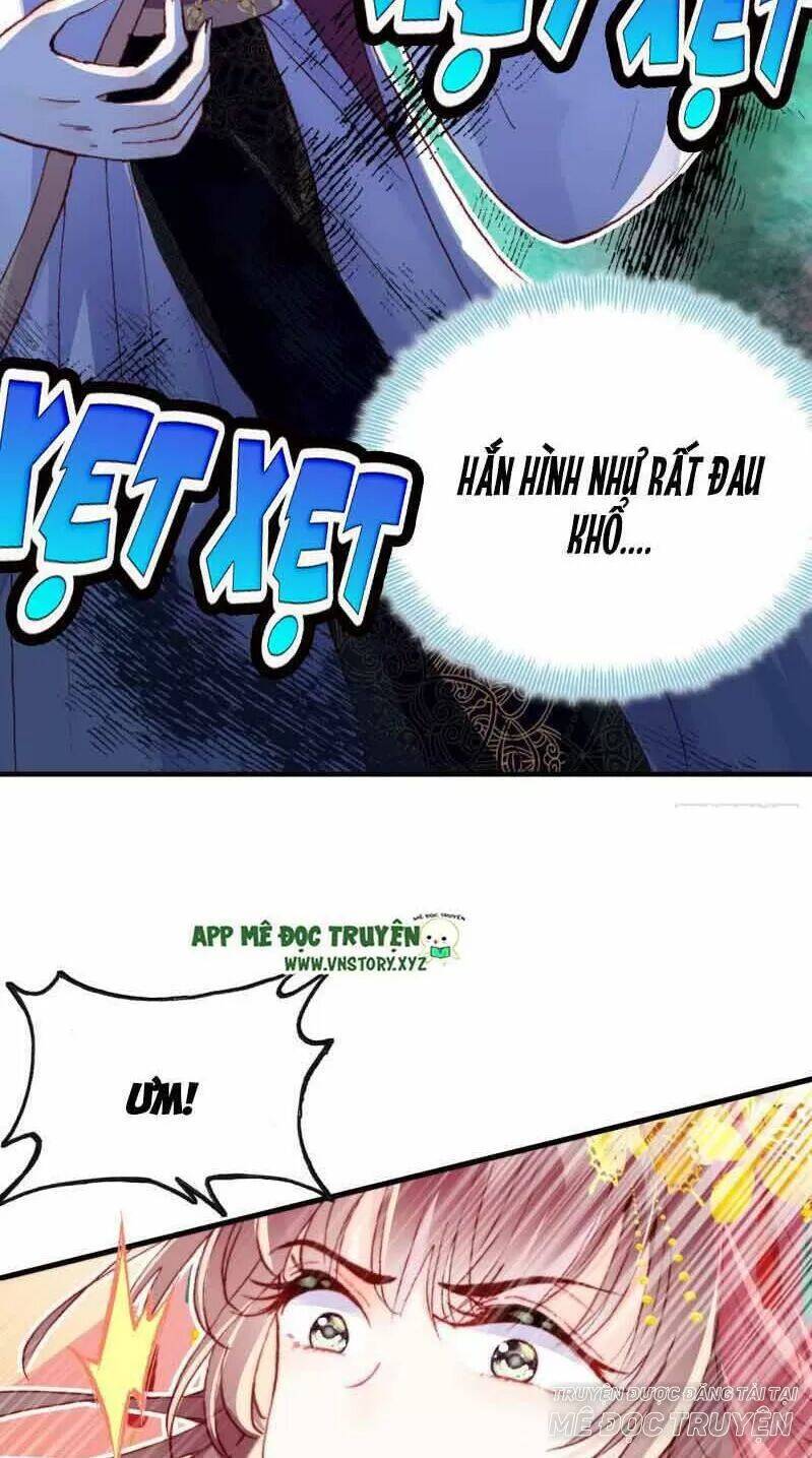 Lại Bị Bệnh Chiều Chuộng Quấn Lấy Chapter 2 - Trang 2