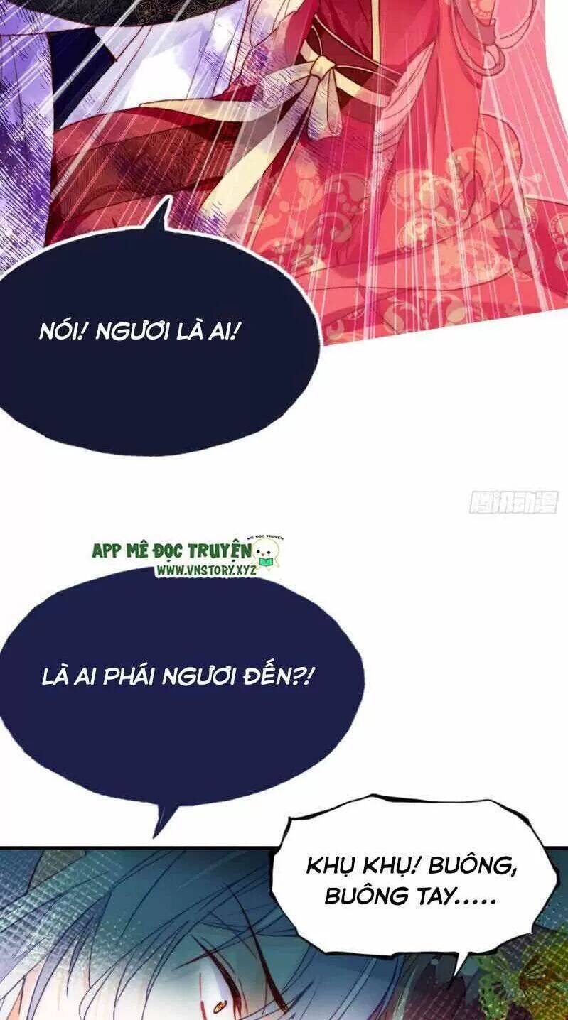 Lại Bị Bệnh Chiều Chuộng Quấn Lấy Chapter 2 - Trang 2