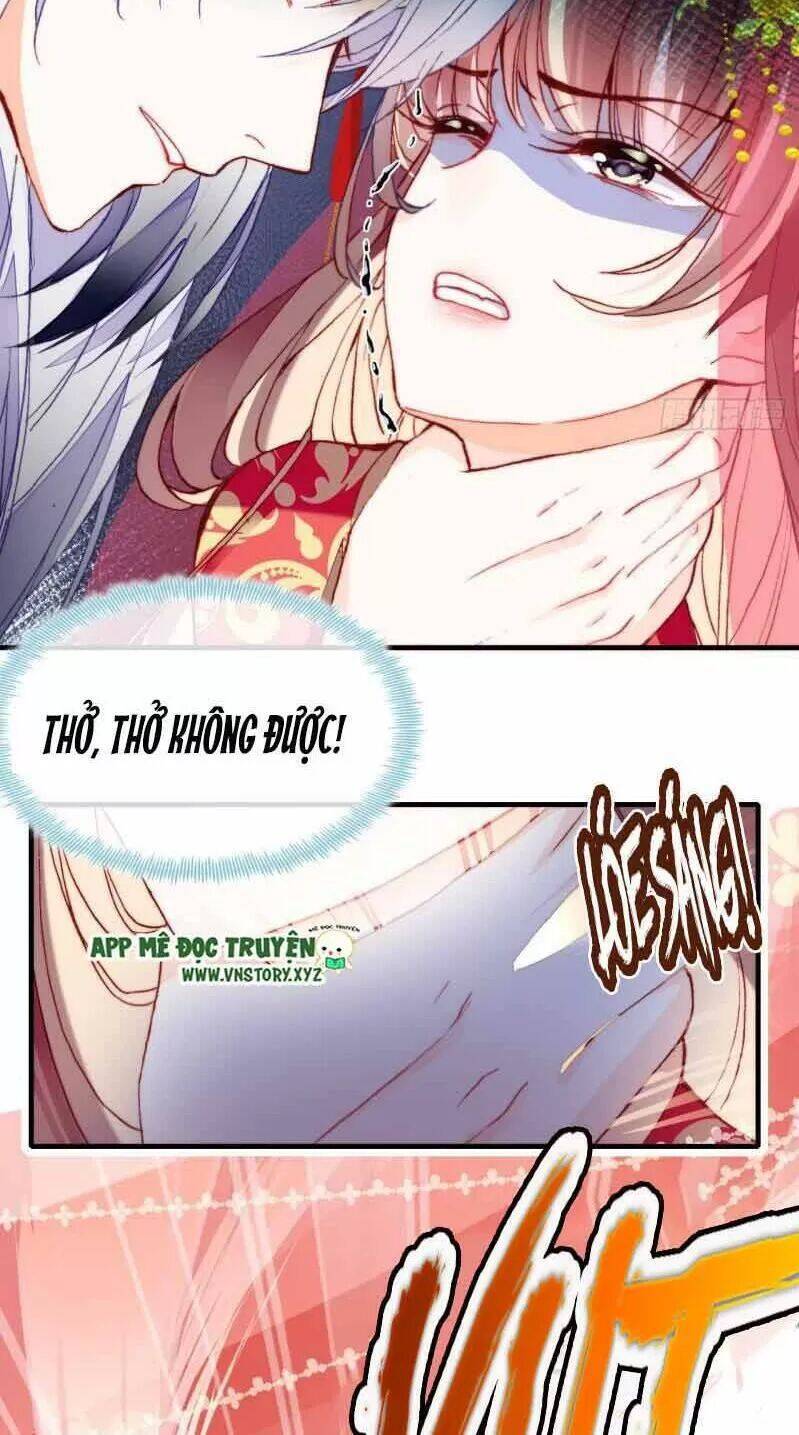 Lại Bị Bệnh Chiều Chuộng Quấn Lấy Chapter 2 - Trang 2