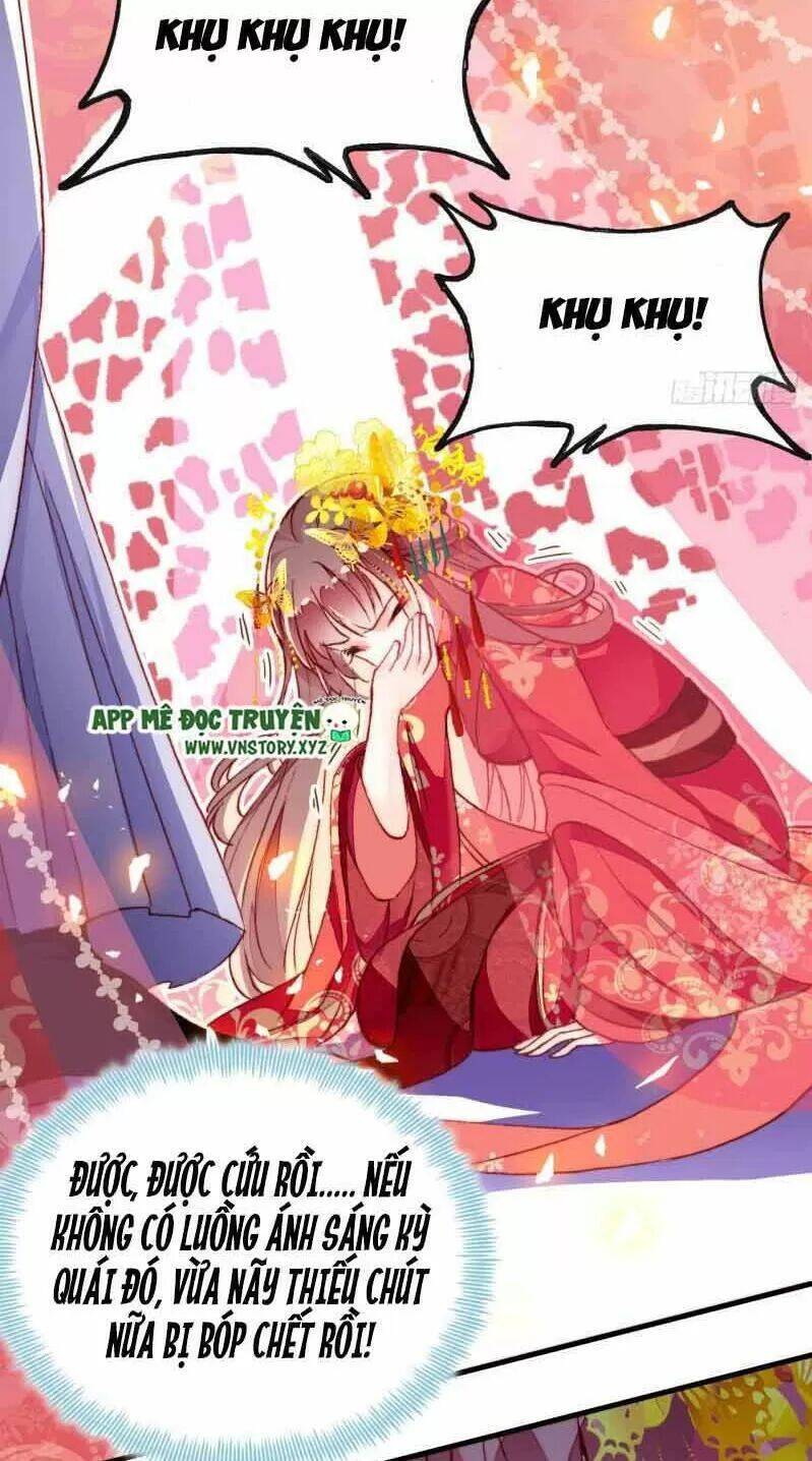 Lại Bị Bệnh Chiều Chuộng Quấn Lấy Chapter 2 - Trang 2