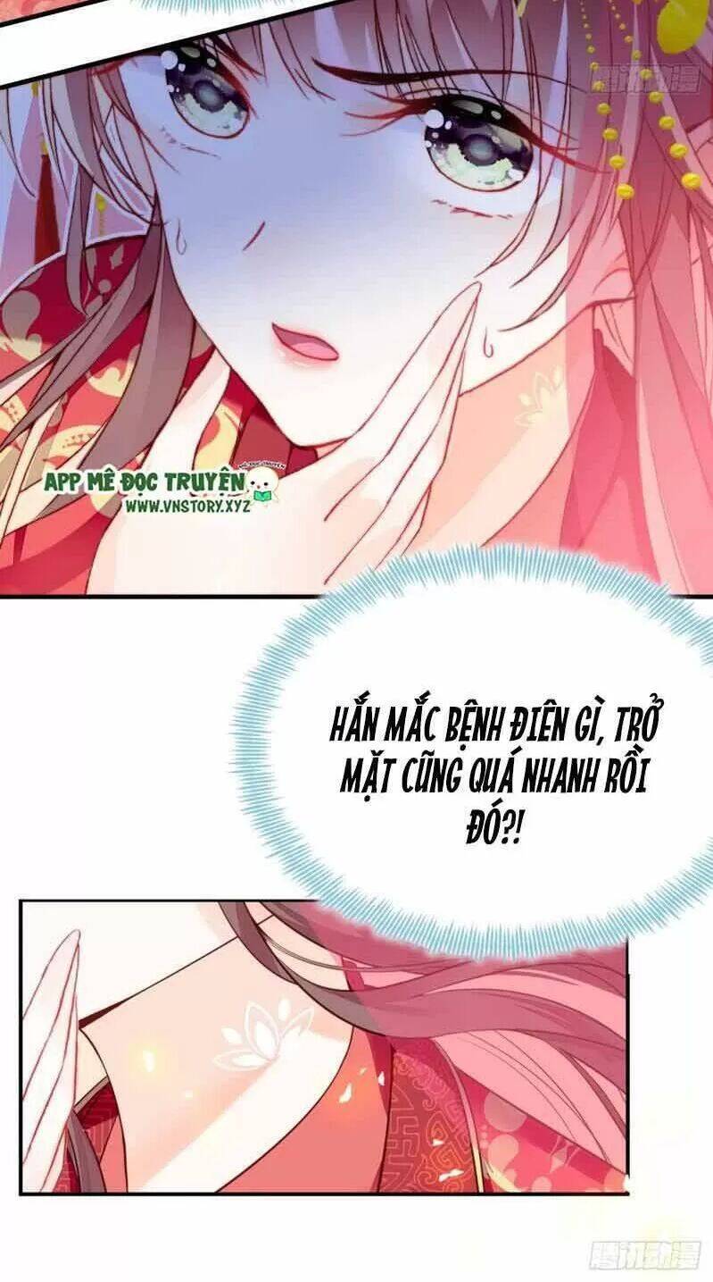 Lại Bị Bệnh Chiều Chuộng Quấn Lấy Chapter 2 - Trang 2