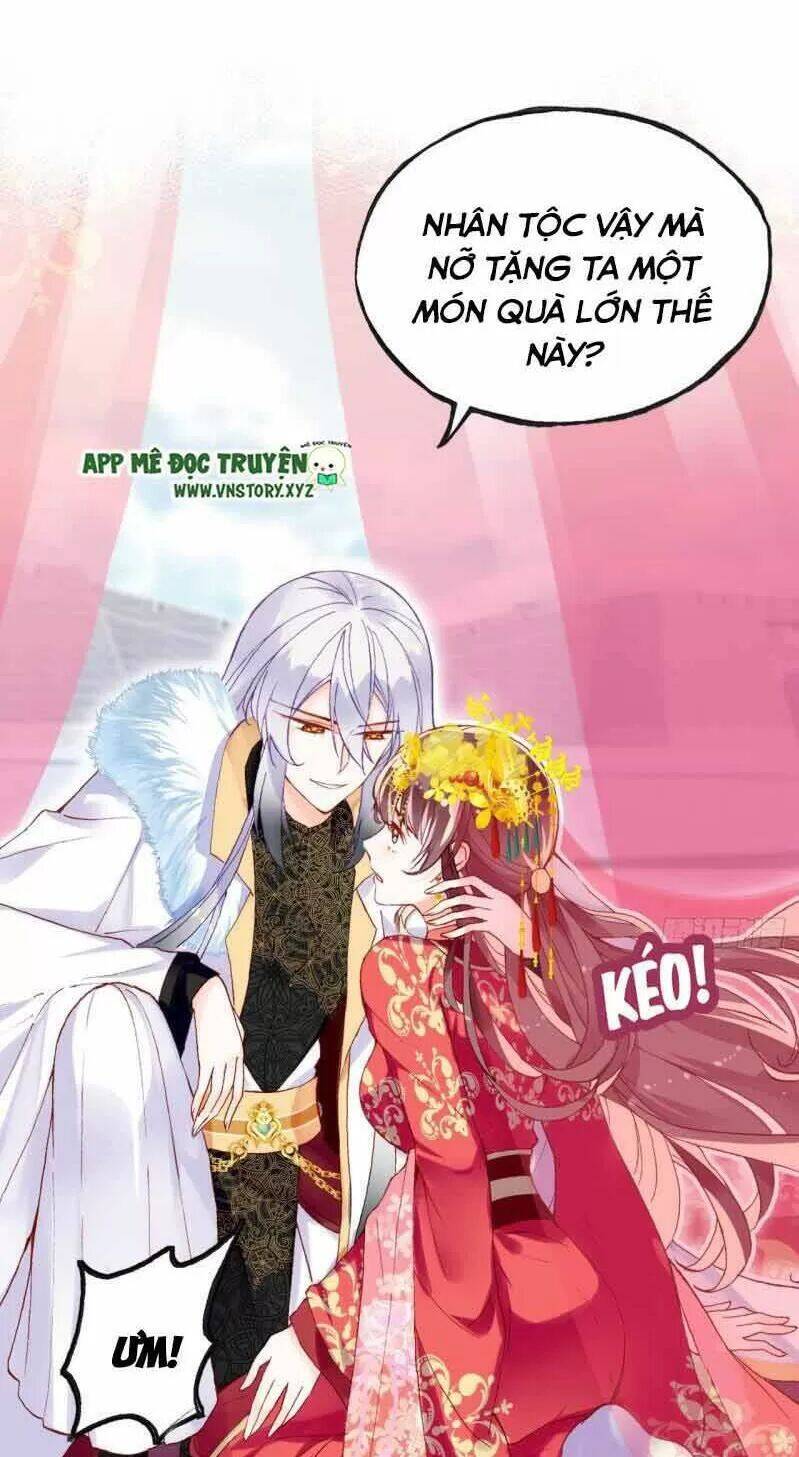 Lại Bị Bệnh Chiều Chuộng Quấn Lấy Chapter 2 - Trang 2