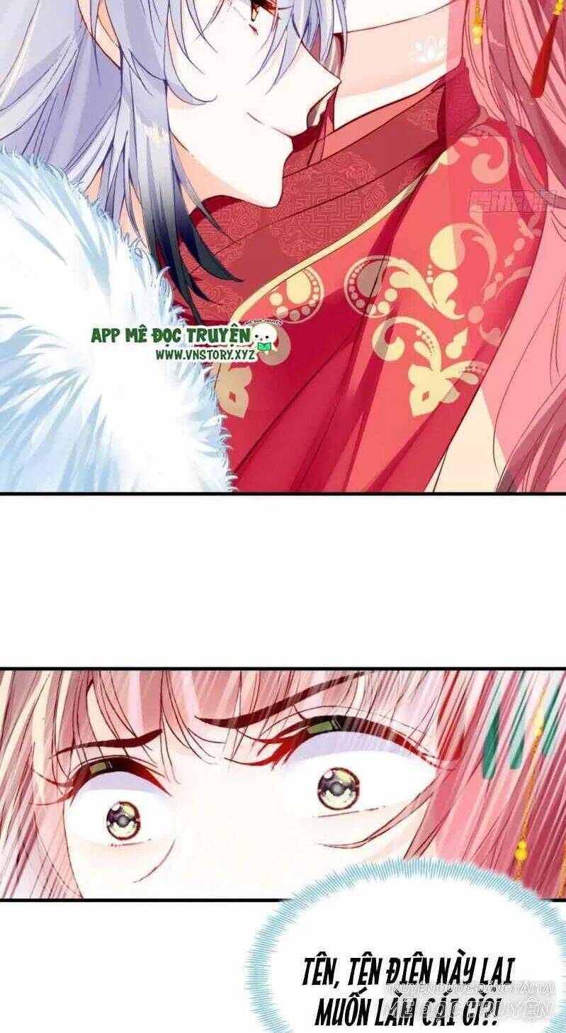 Lại Bị Bệnh Chiều Chuộng Quấn Lấy Chapter 2 - Trang 2