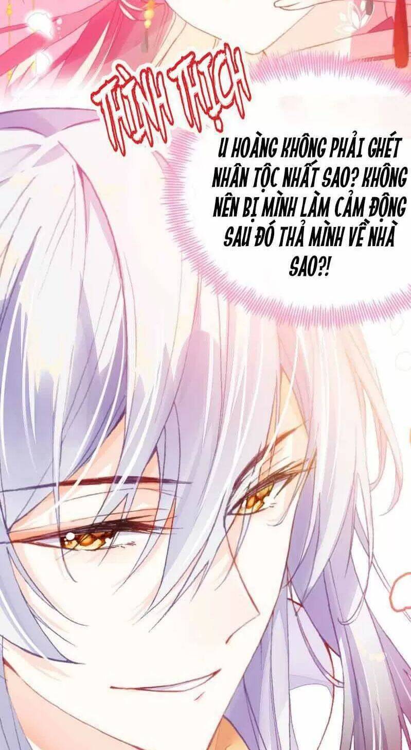 Lại Bị Bệnh Chiều Chuộng Quấn Lấy Chapter 2 - Trang 2