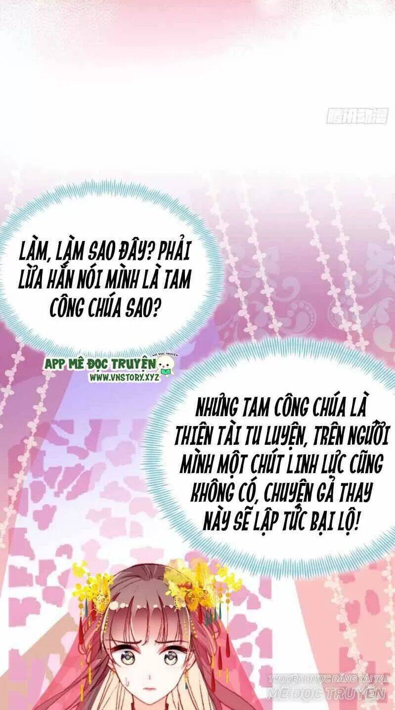 Lại Bị Bệnh Chiều Chuộng Quấn Lấy Chapter 2 - Trang 2