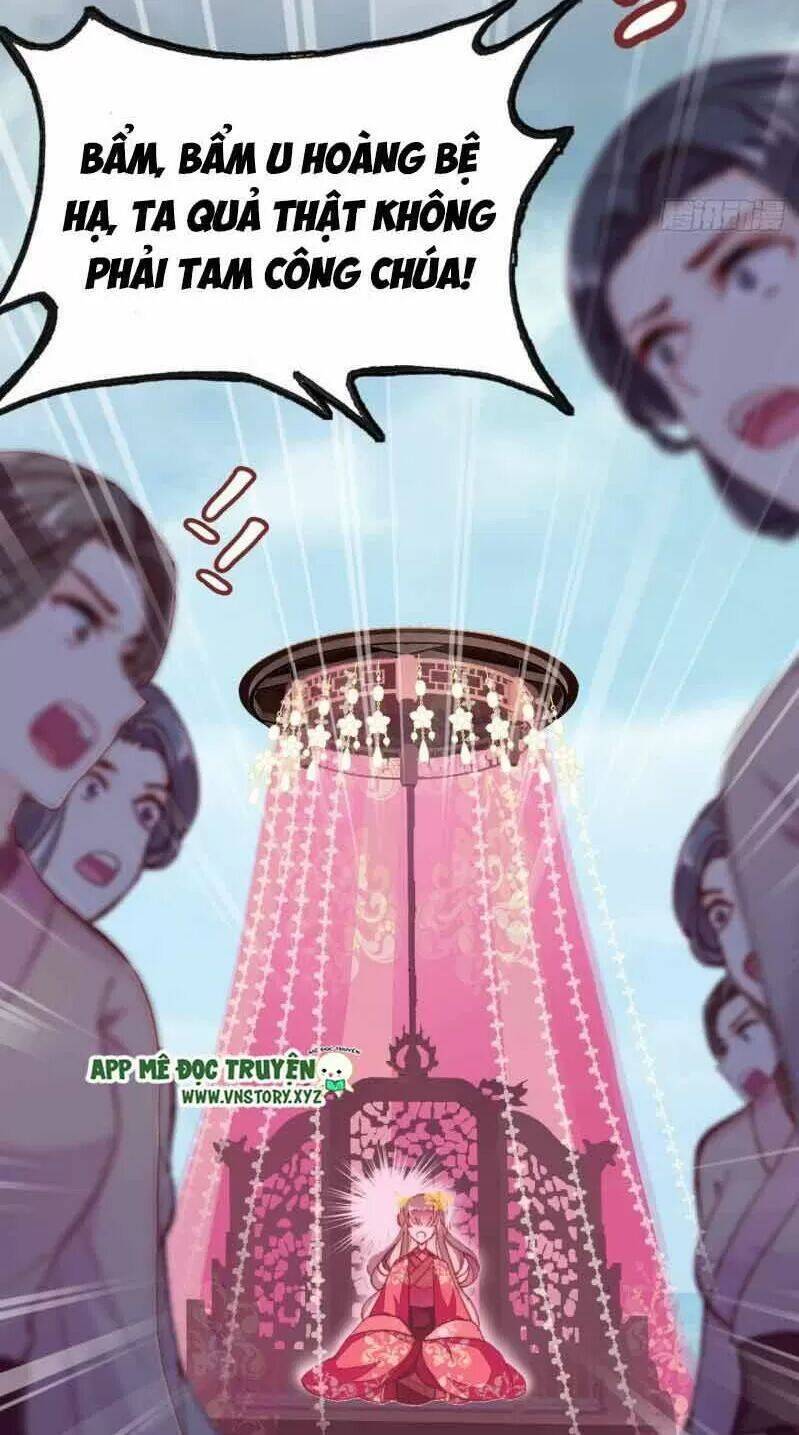 Lại Bị Bệnh Chiều Chuộng Quấn Lấy Chapter 2 - Trang 2