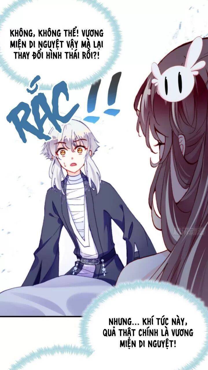 Lại Bị Bệnh Chiều Chuộng Quấn Lấy Chapter 20 - Trang 2