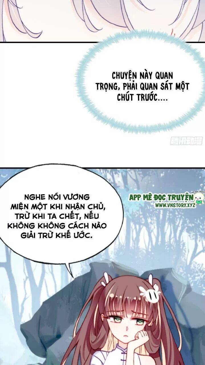 Lại Bị Bệnh Chiều Chuộng Quấn Lấy Chapter 20 - Trang 2