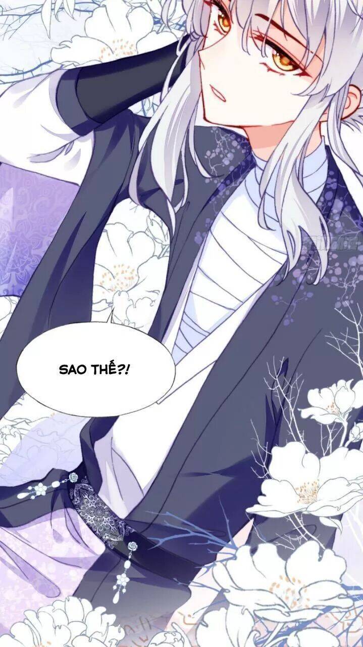 Lại Bị Bệnh Chiều Chuộng Quấn Lấy Chapter 20 - Trang 2