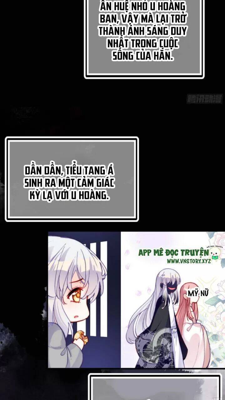 Lại Bị Bệnh Chiều Chuộng Quấn Lấy Chapter 21 - Trang 2