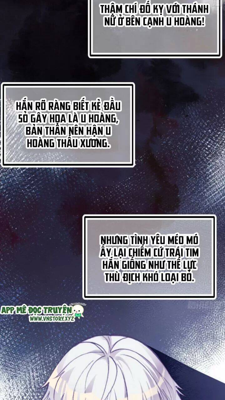 Lại Bị Bệnh Chiều Chuộng Quấn Lấy Chapter 21 - Trang 2