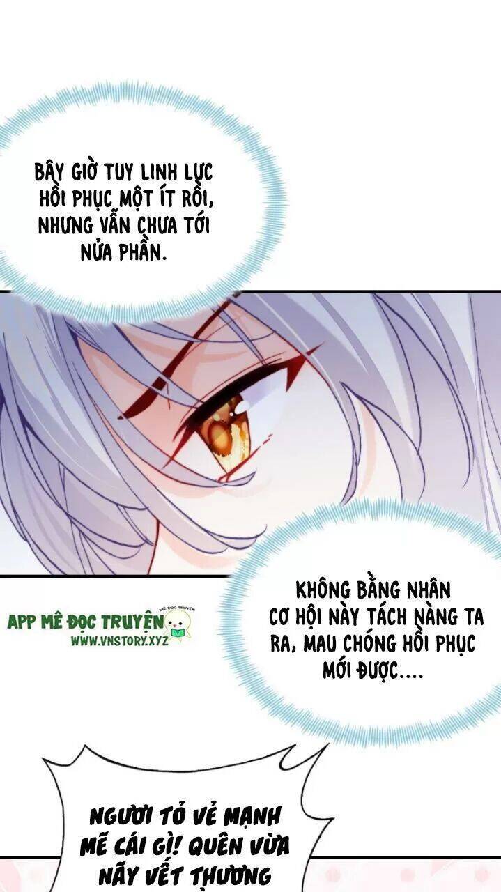 Lại Bị Bệnh Chiều Chuộng Quấn Lấy Chapter 21 - Trang 2