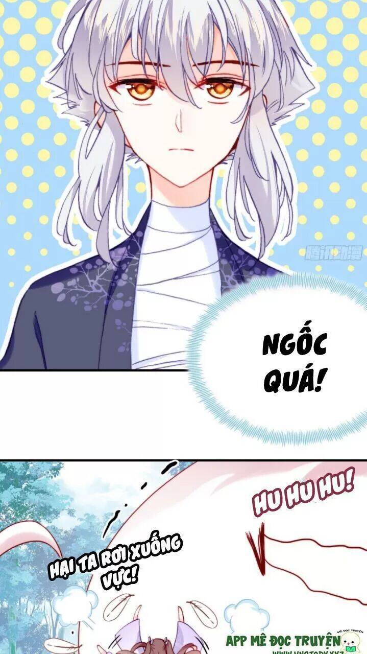 Lại Bị Bệnh Chiều Chuộng Quấn Lấy Chapter 21 - Trang 2