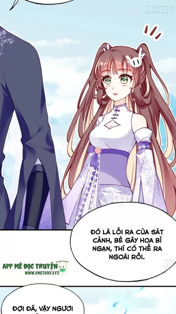 Lại Bị Bệnh Chiều Chuộng Quấn Lấy Chapter 22 - Trang 2