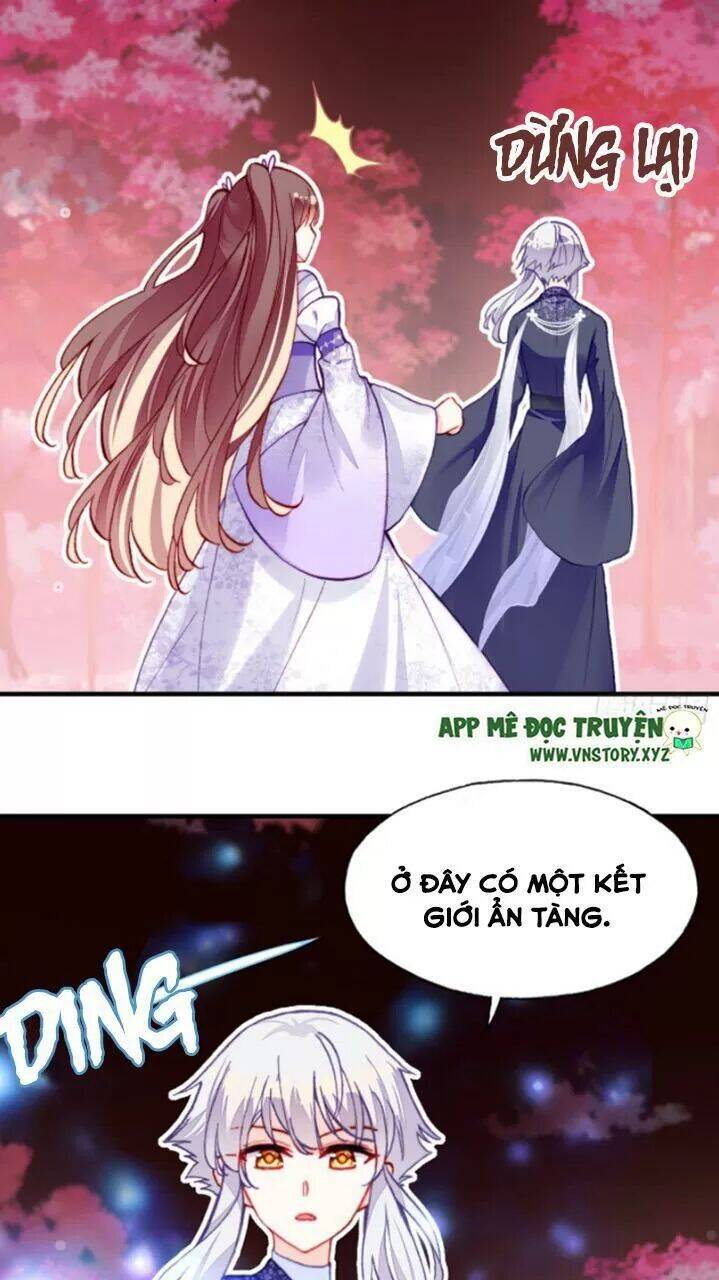 Lại Bị Bệnh Chiều Chuộng Quấn Lấy Chapter 22 - Trang 2