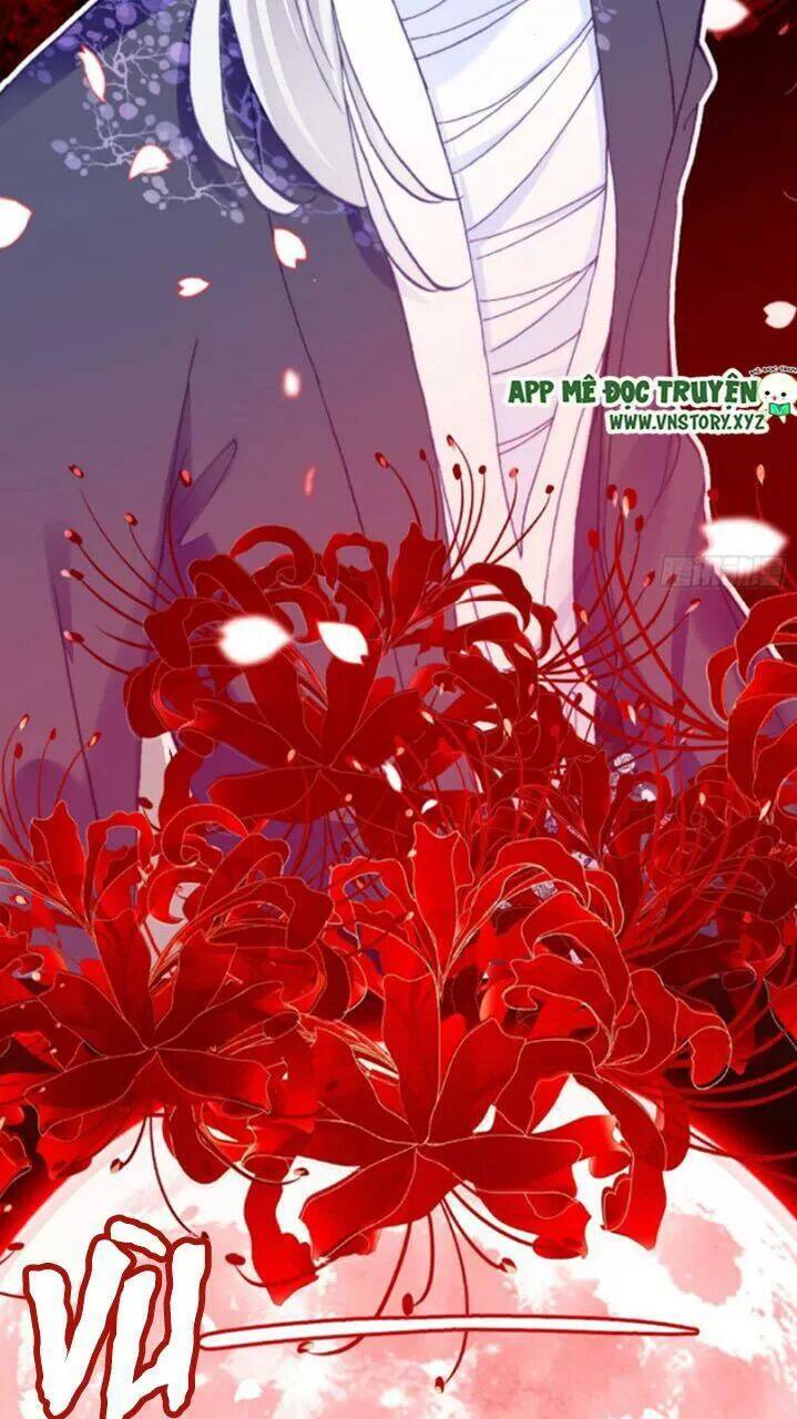 Lại Bị Bệnh Chiều Chuộng Quấn Lấy Chapter 22 - Trang 2