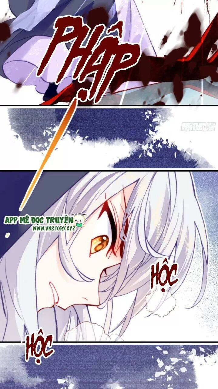 Lại Bị Bệnh Chiều Chuộng Quấn Lấy Chapter 23 - Trang 2