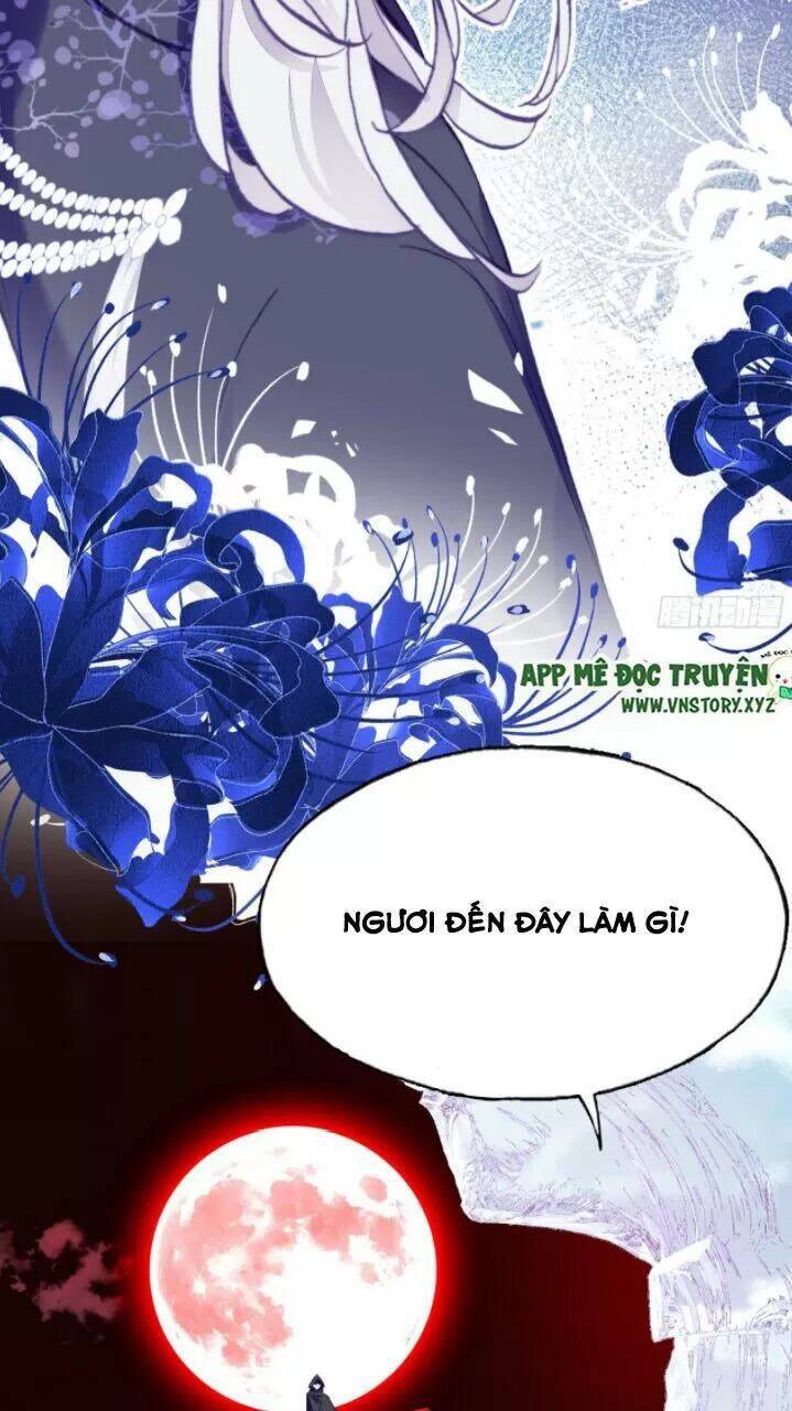 Lại Bị Bệnh Chiều Chuộng Quấn Lấy Chapter 23 - Trang 2