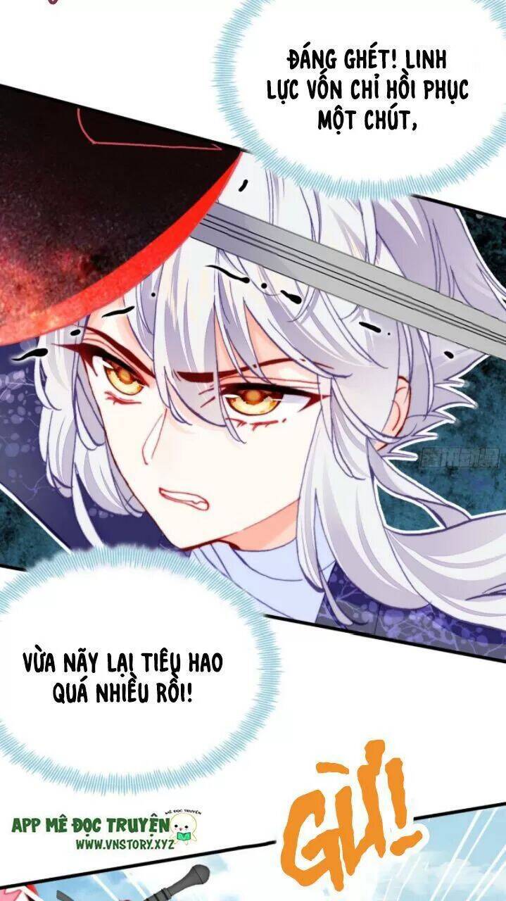 Lại Bị Bệnh Chiều Chuộng Quấn Lấy Chapter 23 - Trang 2