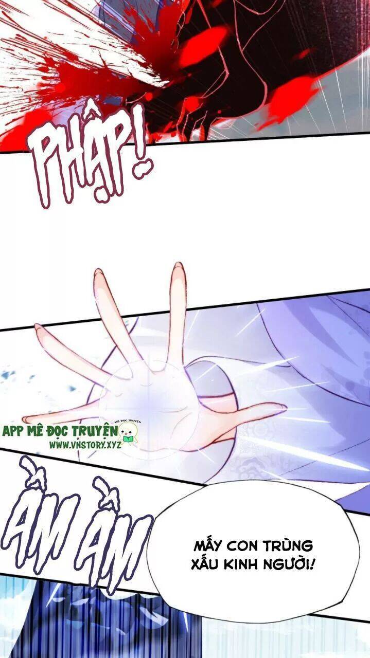 Lại Bị Bệnh Chiều Chuộng Quấn Lấy Chapter 23 - Trang 2