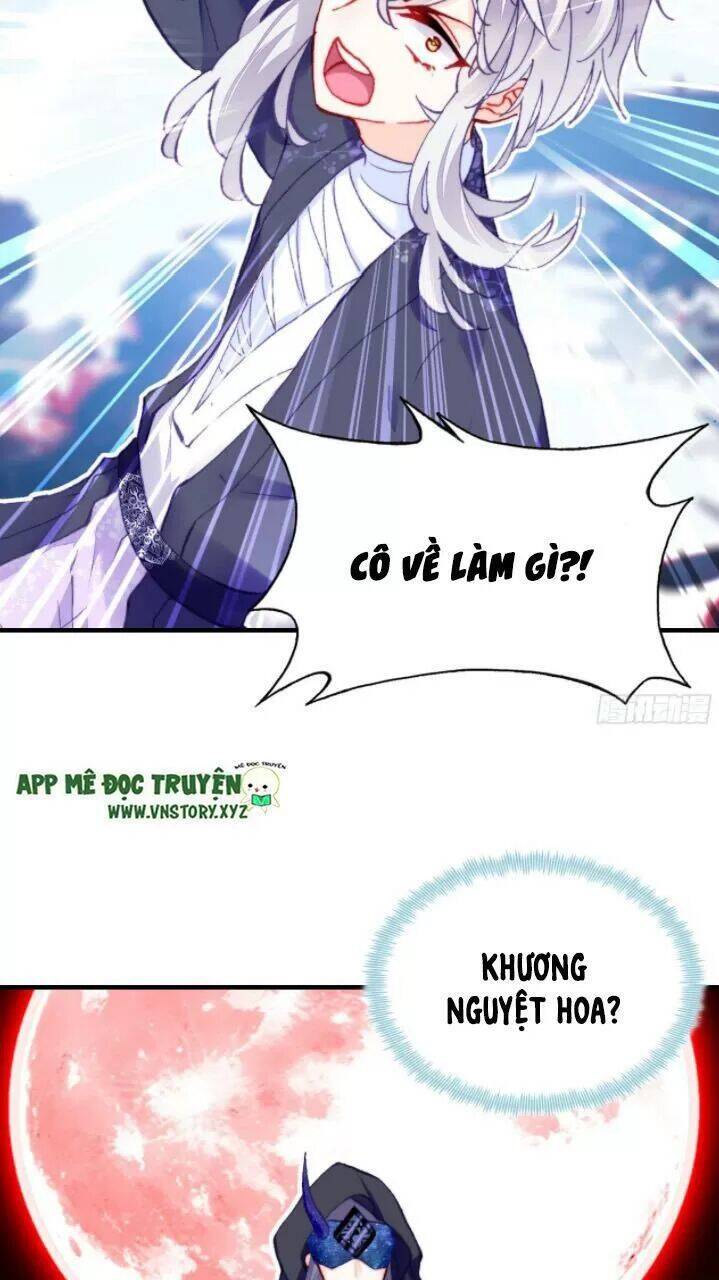 Lại Bị Bệnh Chiều Chuộng Quấn Lấy Chapter 23 - Trang 2