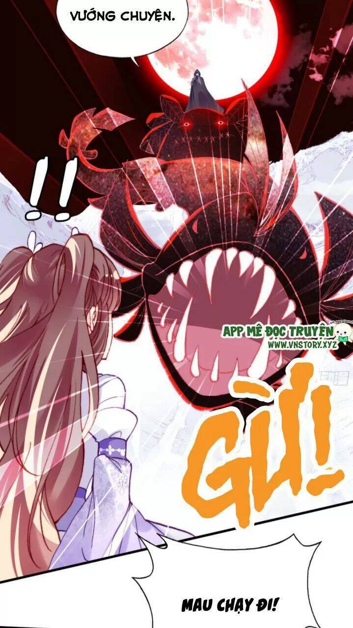 Lại Bị Bệnh Chiều Chuộng Quấn Lấy Chapter 23 - Trang 2