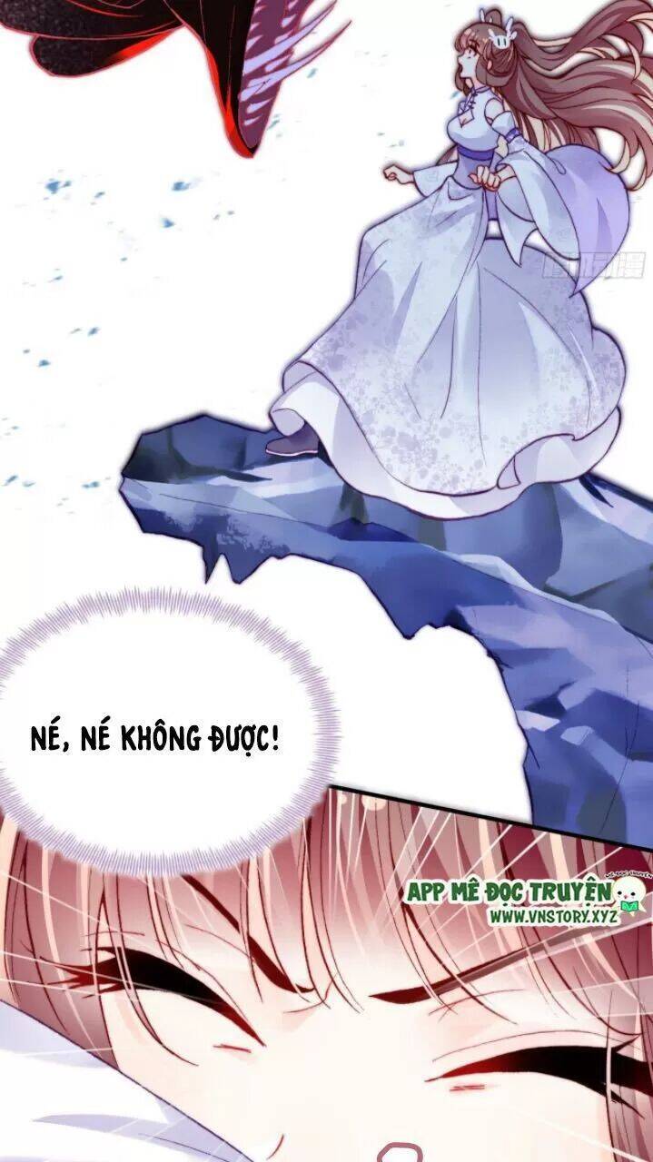 Lại Bị Bệnh Chiều Chuộng Quấn Lấy Chapter 23 - Trang 2