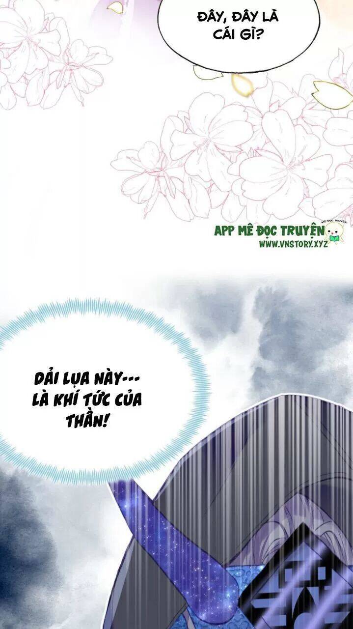 Lại Bị Bệnh Chiều Chuộng Quấn Lấy Chapter 23 - Trang 2