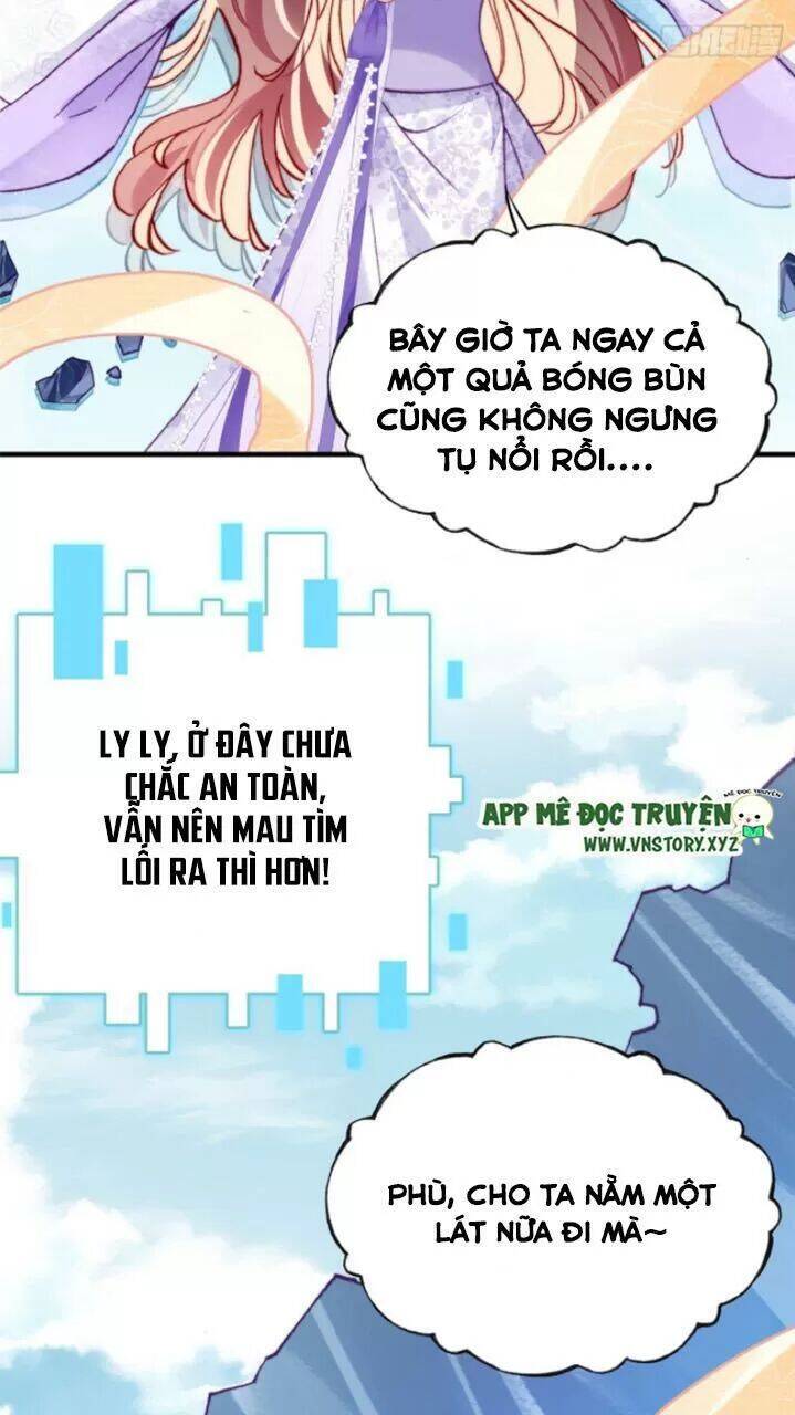 Lại Bị Bệnh Chiều Chuộng Quấn Lấy Chapter 24 - Trang 2