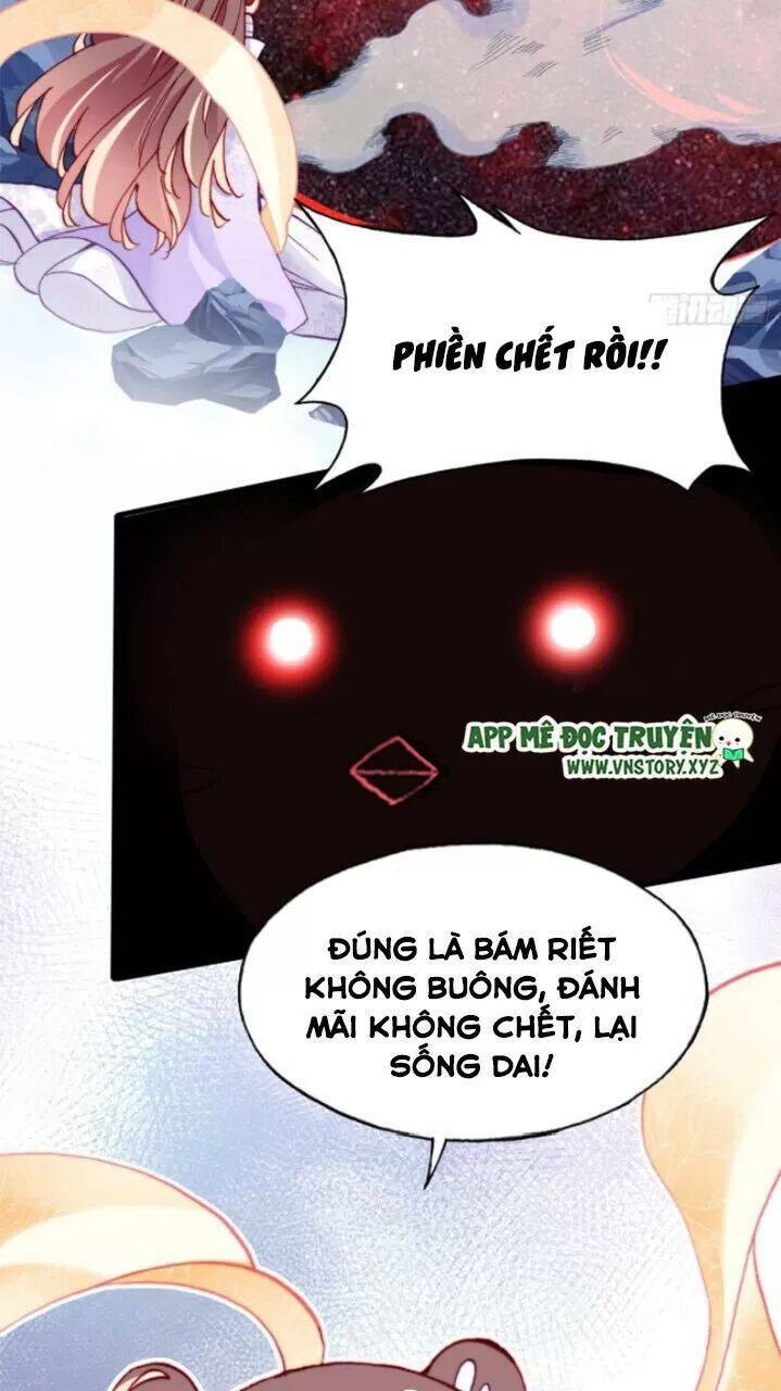 Lại Bị Bệnh Chiều Chuộng Quấn Lấy Chapter 24 - Trang 2