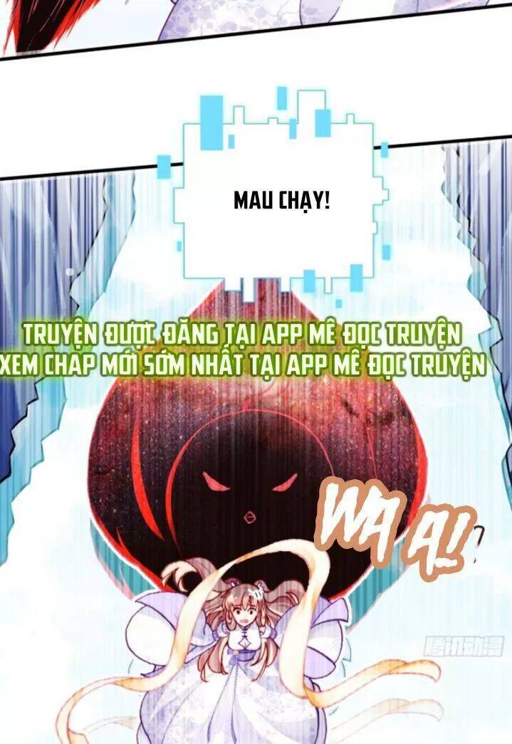 Lại Bị Bệnh Chiều Chuộng Quấn Lấy Chapter 24 - Trang 2