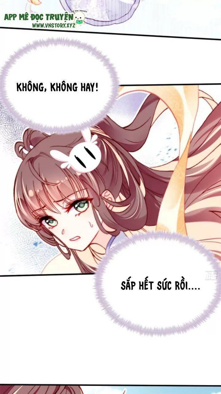 Lại Bị Bệnh Chiều Chuộng Quấn Lấy Chapter 24 - Trang 2