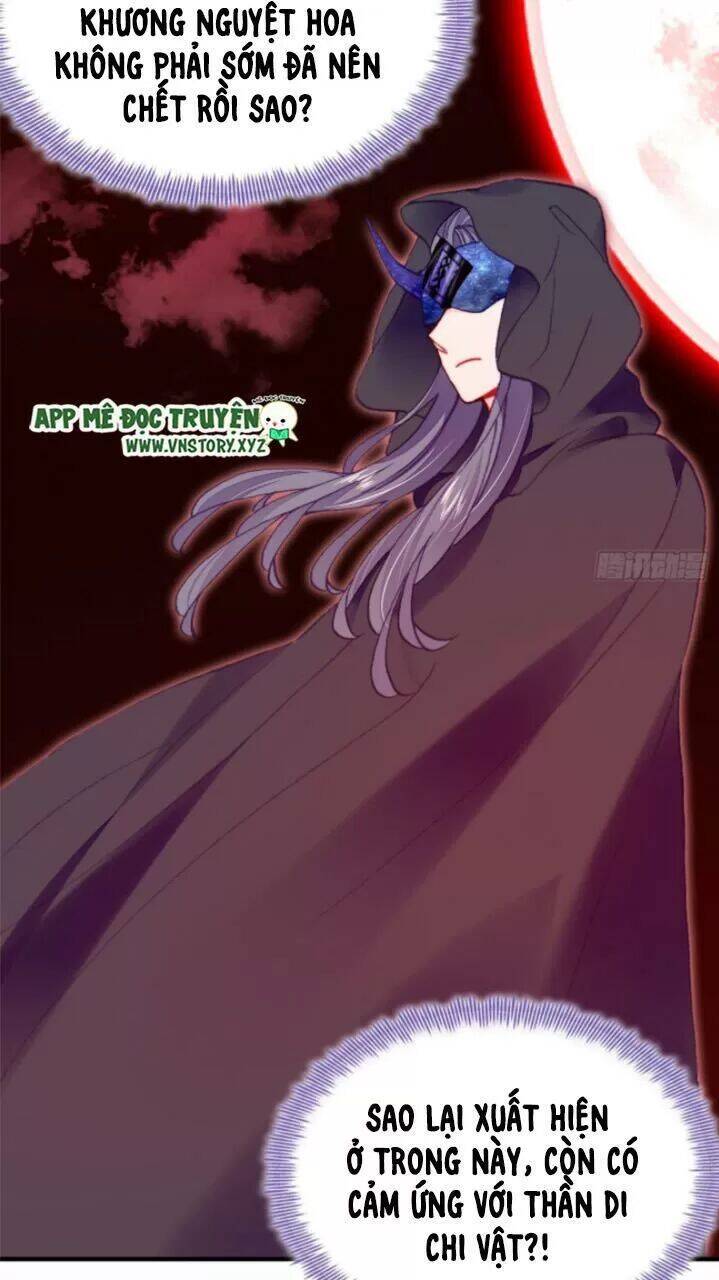 Lại Bị Bệnh Chiều Chuộng Quấn Lấy Chapter 24 - Trang 2