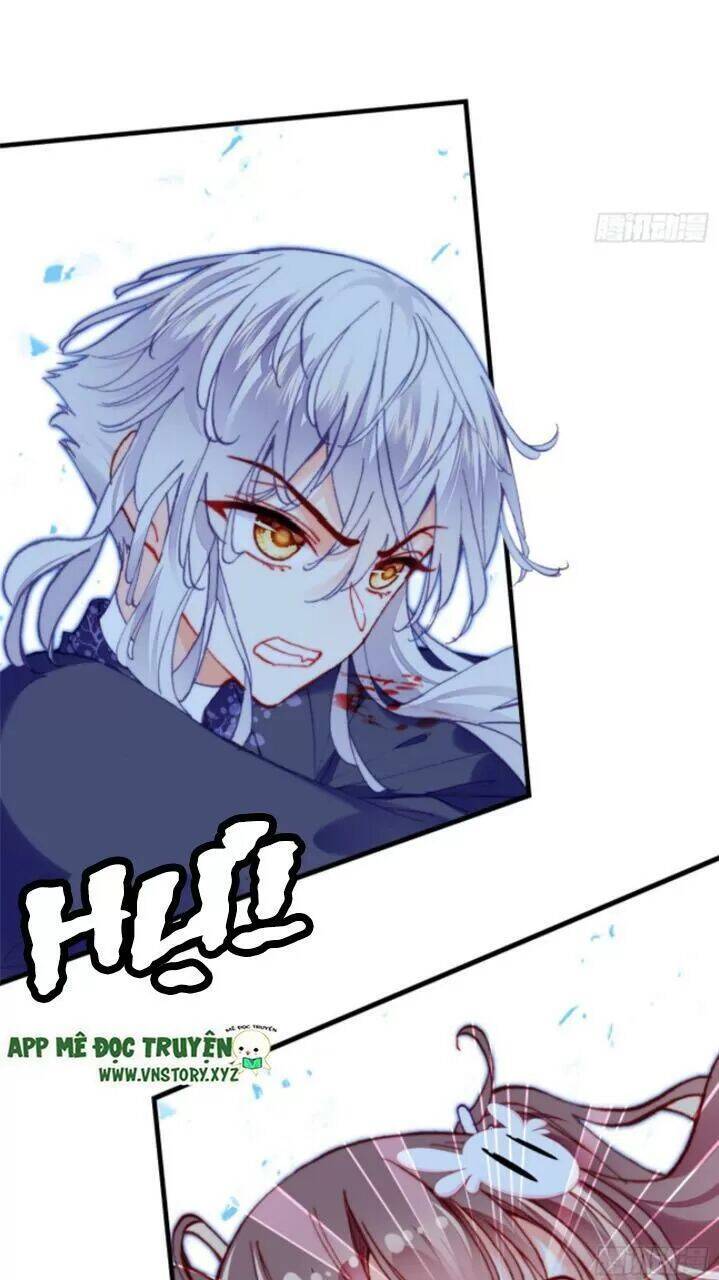 Lại Bị Bệnh Chiều Chuộng Quấn Lấy Chapter 24 - Trang 2