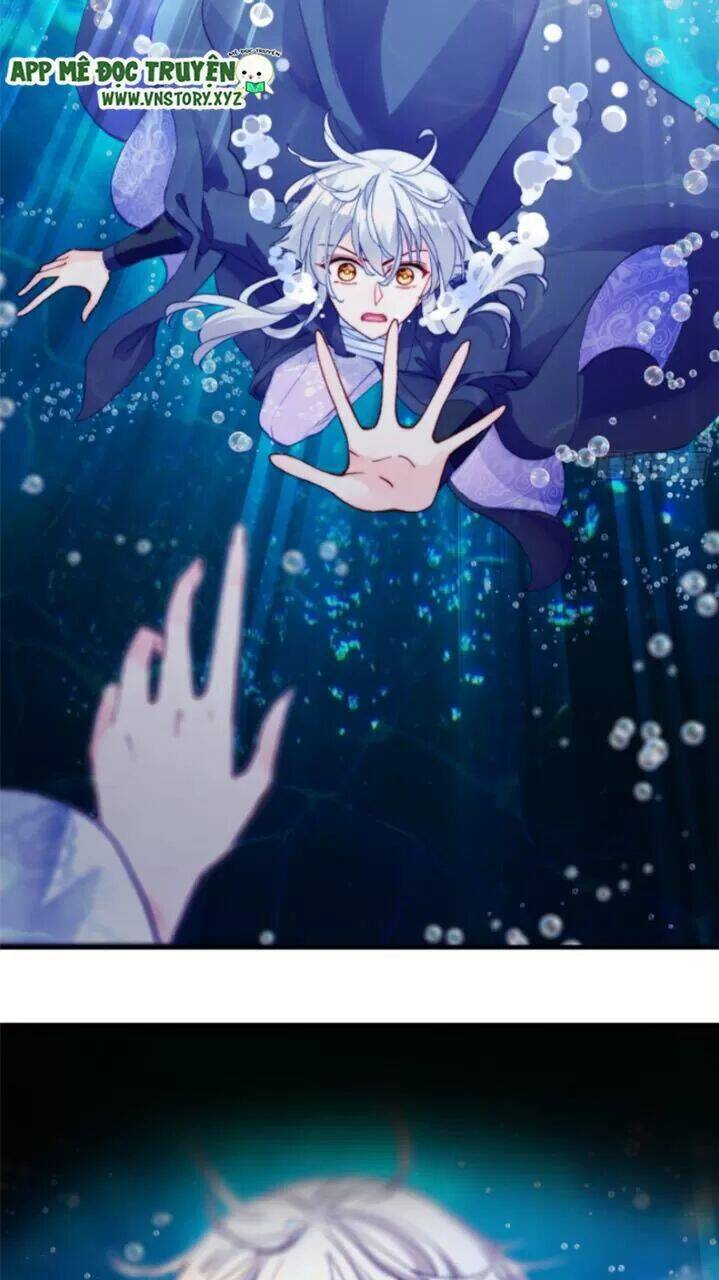 Lại Bị Bệnh Chiều Chuộng Quấn Lấy Chapter 24 - Trang 2