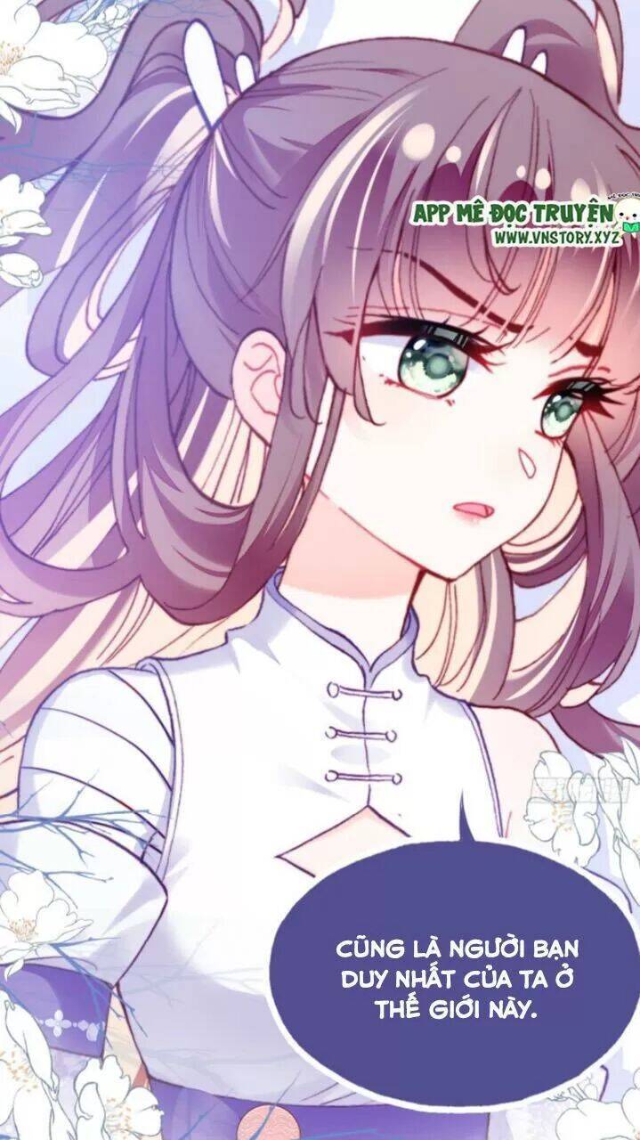 Lại Bị Bệnh Chiều Chuộng Quấn Lấy Chapter 25 - Trang 2