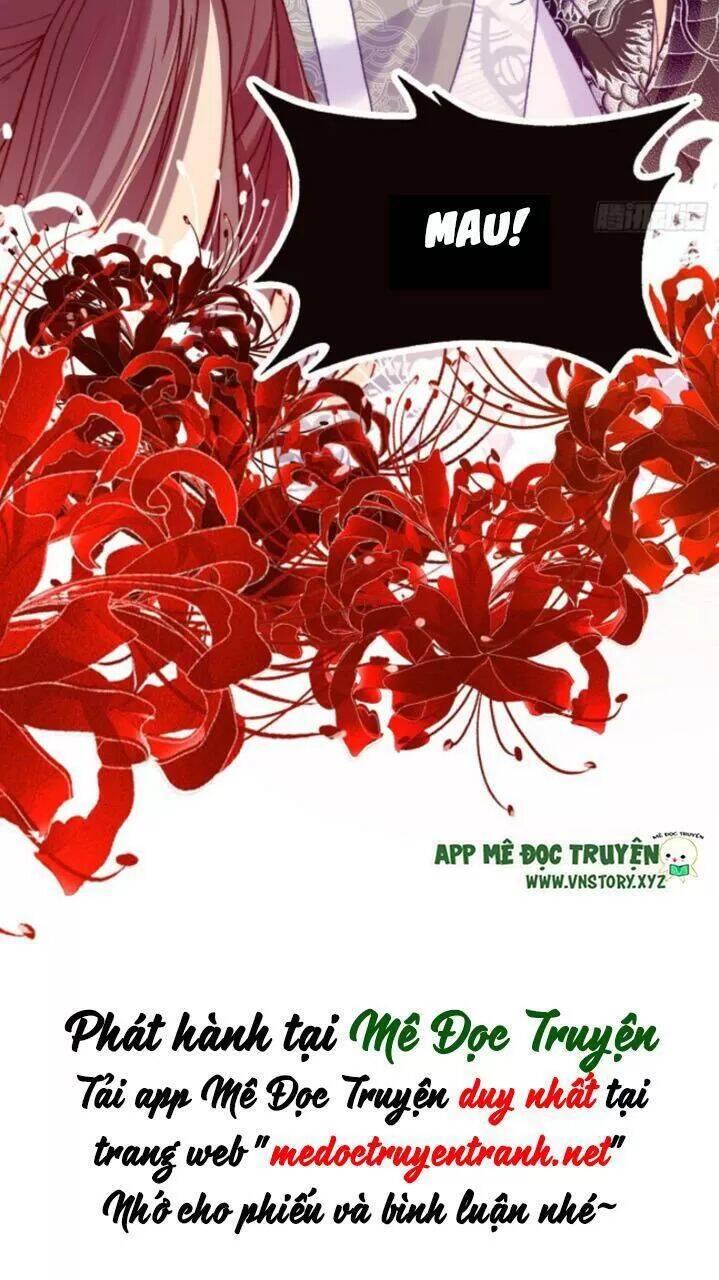 Lại Bị Bệnh Chiều Chuộng Quấn Lấy Chapter 25 - Trang 2