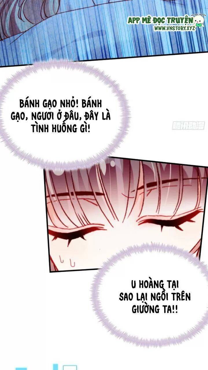 Lại Bị Bệnh Chiều Chuộng Quấn Lấy Chapter 27 - Trang 2