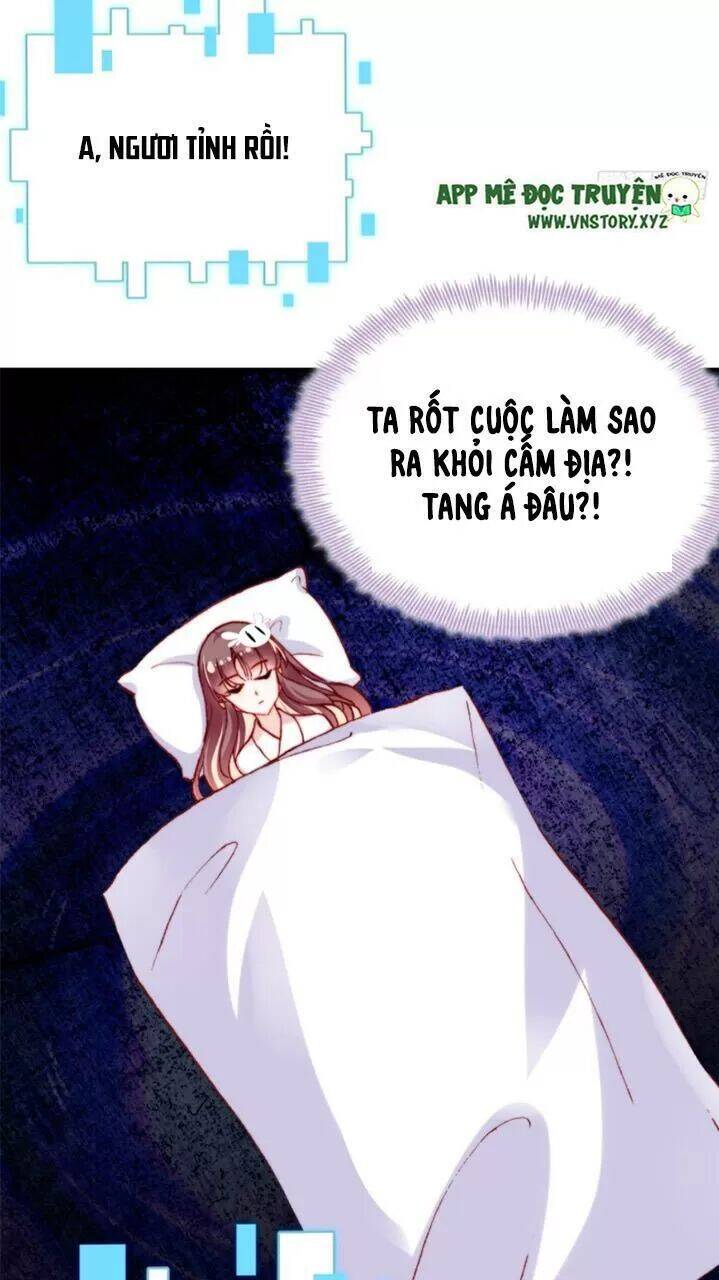 Lại Bị Bệnh Chiều Chuộng Quấn Lấy Chapter 27 - Trang 2