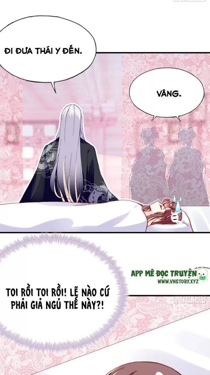 Lại Bị Bệnh Chiều Chuộng Quấn Lấy Chapter 27 - Trang 2