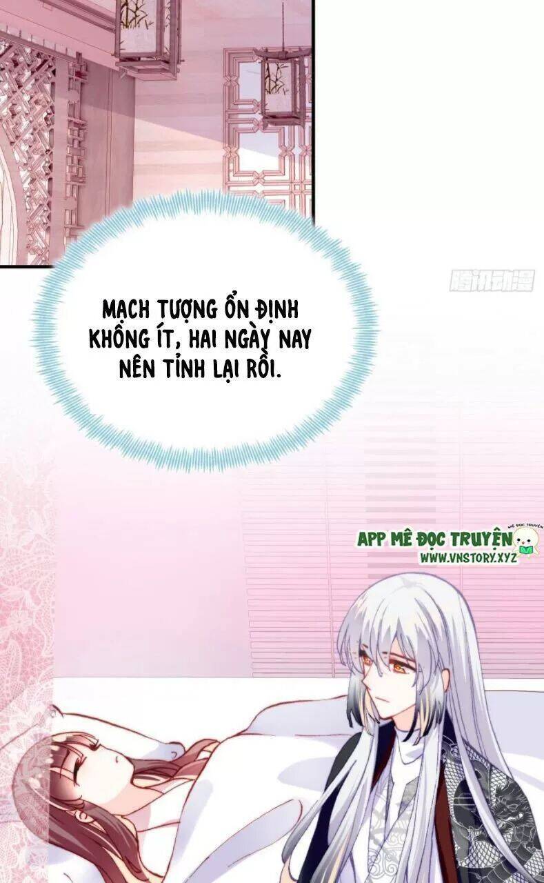 Lại Bị Bệnh Chiều Chuộng Quấn Lấy Chapter 27 - Trang 2