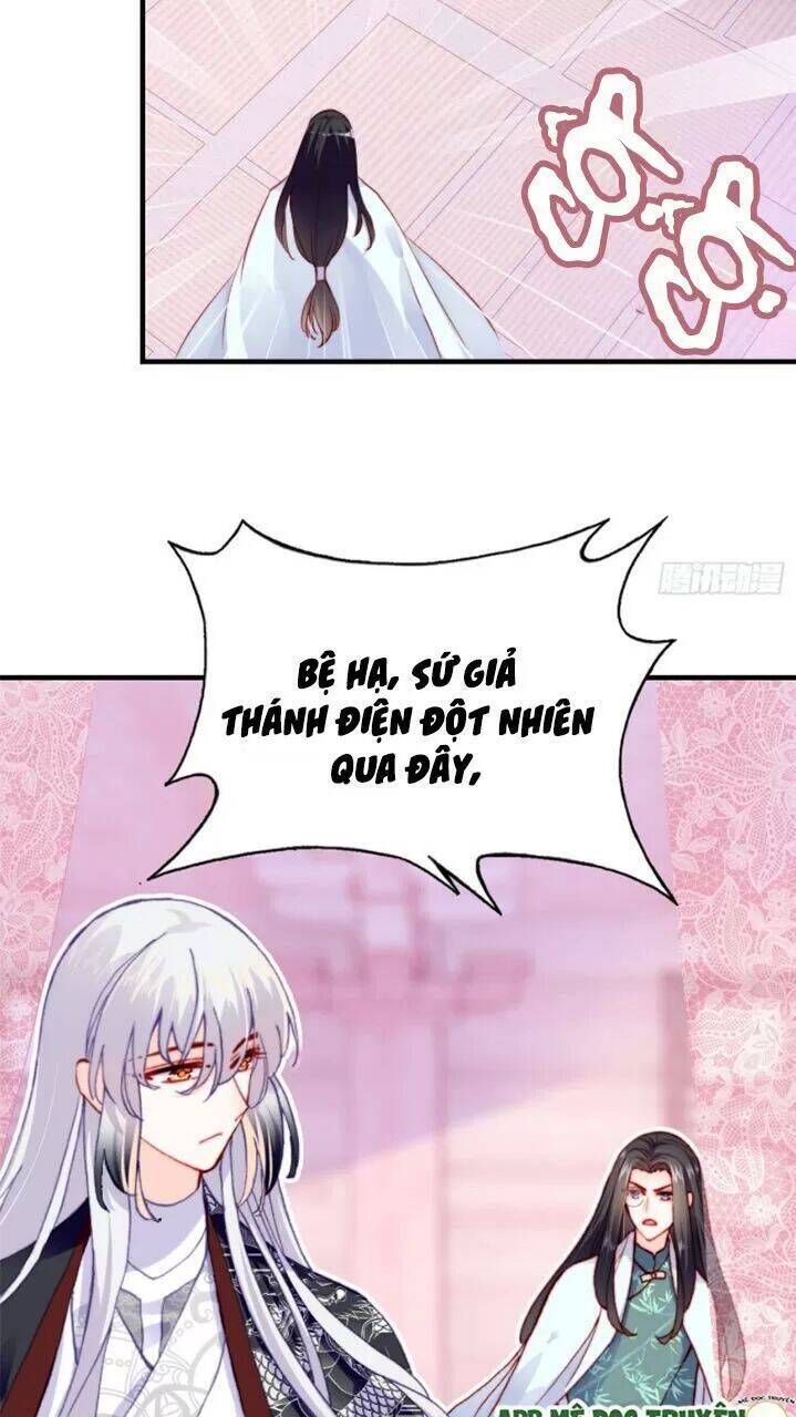 Lại Bị Bệnh Chiều Chuộng Quấn Lấy Chapter 27 - Trang 2