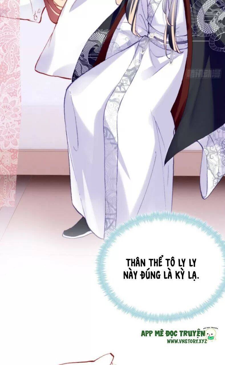 Lại Bị Bệnh Chiều Chuộng Quấn Lấy Chapter 27 - Trang 2