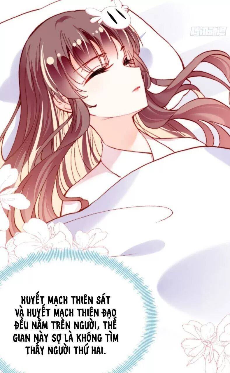 Lại Bị Bệnh Chiều Chuộng Quấn Lấy Chapter 27 - Trang 2